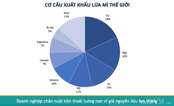 Cơ cấu xuất khẩu lúa mỳ theo các nước (theo Sở giao dịch Hàng hoá Việt Nam (MXV)) Cơ cấu xuất khẩu lúa mỳ theo các nước (theo Sở giao dịch Hàng hoá Việt Nam (MXV))