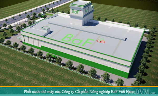 Phối cảnh Công ty cổ phần Nông nghiệp BaF Việt Nam Phối cảnh Công ty cổ phần Nông nghiệp BaF Việt Nam