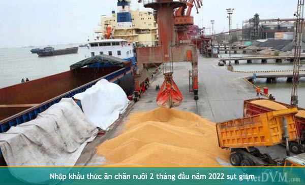 2 tháng đầu năm 2022 nhập khẩu thức ăn chăn nuôi đạt 627,86 triệu USD, giảm 7,9% so với cùng kỳ năm 2021 2 tháng đầu năm 2022 nhập khẩu thức ăn chăn nuôi đạt 627,86 triệu USD, giảm 7,9% so với cùng kỳ năm 2021