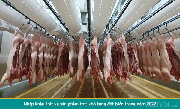 Tháng 1/2022, Việt Nam xuất khẩu được 1,39 nghìn tấn thịt và sản phẩm thịt, trị giá 6,92 triệu USD, giảm 23,5% về lượng và giảm 40,2% về trị giá so với tháng 12/2021 Tháng 1/2022, Việt Nam xuất khẩu được 1,39 nghìn tấn thịt và sản phẩm thịt, trị giá 6,92 triệu USD, giảm 23,5% về lượng và giảm 40,2% về trị giá so với tháng 12/2021