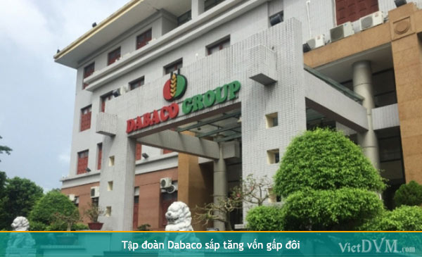 Vốn điều lệ của Dabaco sẽ được nâng thành 2.300 tỷ đồng Vốn điều lệ của Dabaco sẽ được nâng thành 2.300 tỷ đồng