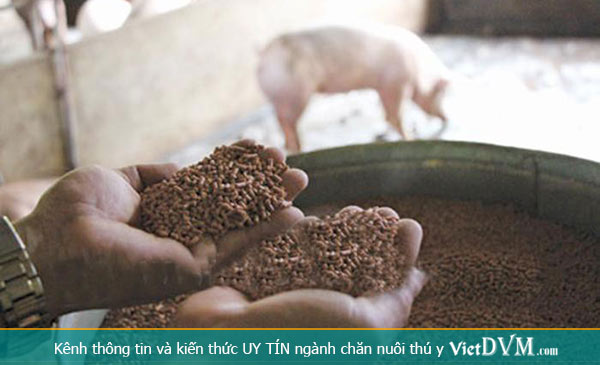 Thái Lan hủy lệnh kiểm soát nhập khẩu với Nguyên liệu TACN Thái Lan hủy lệnh kiểm soát nhập khẩu với Nguyên liệu TACN