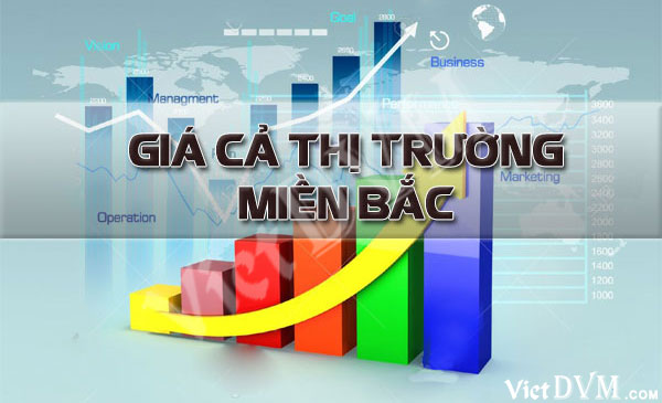 Giá cả thị trường các tỉnh phía Bắc nước ta trong tuần 37 năm 2018 Giá cả thị trường các tỉnh phía Bắc nước ta trong tuần 37 năm 2018