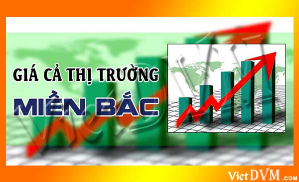 Cập nhật giá các sản phẩm chăn nuôi tại thị trường miền Bắc tuần 16/2022 Cập nhật giá các sản phẩm chăn nuôi tại thị trường miền Bắc tuần 16/2022