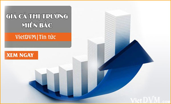 Giá cả thị trường miền Bắc tuần 08 năm 2017 gia ca thi truong mb 3