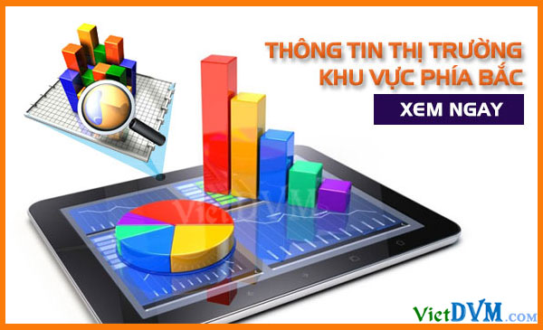 Giá cả thị trường miền Bắc tuần 41 năm 2016 Giá cả thị trường miền Bắc tuần 41 năm 2016
