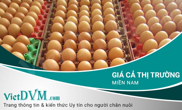 Giá cả thị trường tuần 52/2016 tại các tỉnh phía Nam gia ca thi truong mien nam 3