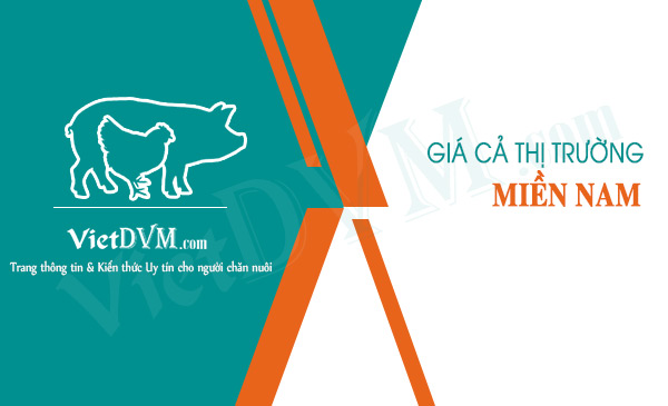 Giá cả thị trường tuần 52/2016 tại các tỉnh phía Nam gia ca thi truong mien nam 4