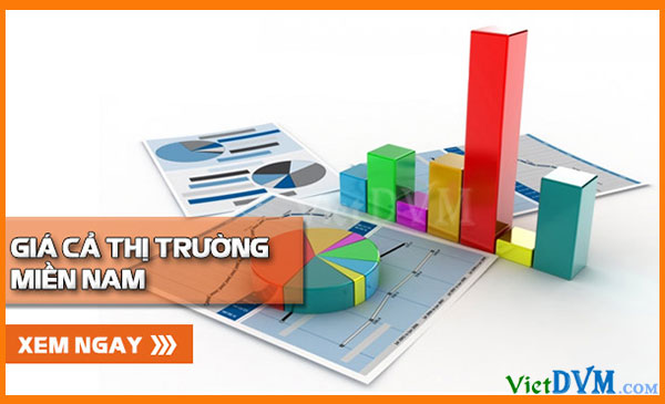 Giá cả thị trường miền Nam tuần 28/2016 có mức giảm nhẹ Giá cả thị trường miền Nam tuần 28/2016 có mức giảm nhẹ