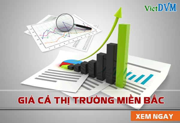 giá cả thị trường chăn nuôi giá cả thị trường chăn nuôi