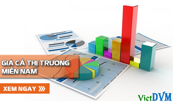 Giá cả thị trường tuần 52/2016 tại các tỉnh phía Nam gia ca mien nam 5