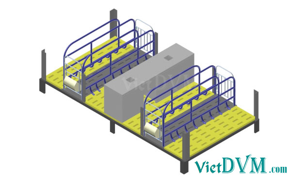 Mô hình 3d chuồng sàn cho heo nái đẻ kiểu có vách ngăn - bước 6