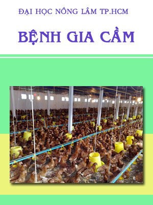 12 benh gia cam