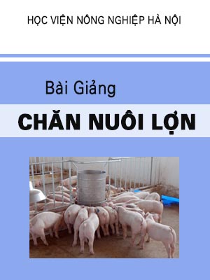 25 chan nuoi heo