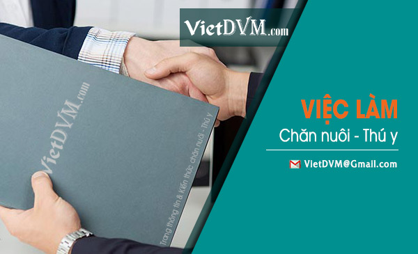 Công ty TNHH UV tuyển dụng Công ty TNHH UV tuyển dụng