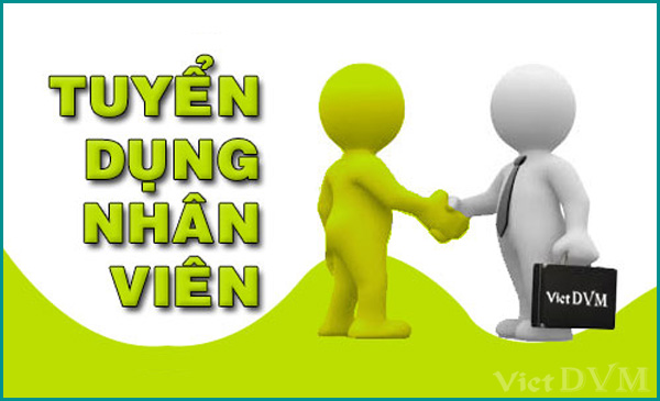 Công ty Vimark tuyển dụng Công ty Vimark tuyển dụng