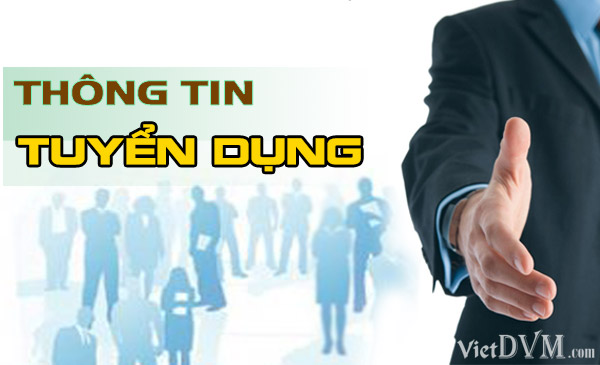 Công ty Cổ phần Tập đoàn KINPLUS tuyển dụng Công ty Cổ phần Tập đoàn KINPLUS tuyển dụng
