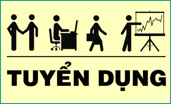 Công ty TNHH Sunjin Vina tuyển dụng Công ty TNHH Sunjin Vina tuyển dụng