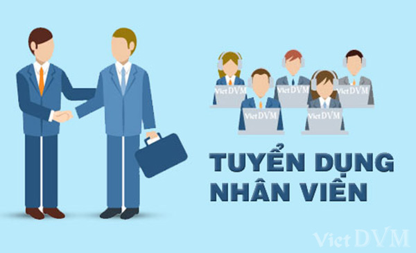 Công ty cổ phần Q&T tuyển dụng Công ty cổ phần Q&T tuyển dụng
