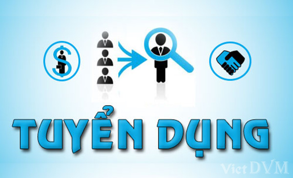 Công ty Toàn Thắng tuyển dụng Công ty Toàn Thắng tuyển dụng
