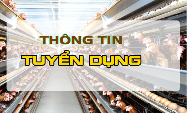 Công ty Sunjin Vina tuyển dụng Công ty Sunjin Vina tuyển dụng