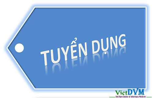 Tập đoàn Masan tuyển dụng nhân sự cho thương hiệu Anco và Proconco Tập đoàn Masan tuyển dụng nhân viên kinh doanh cho thương hiệu Anco và Proconco