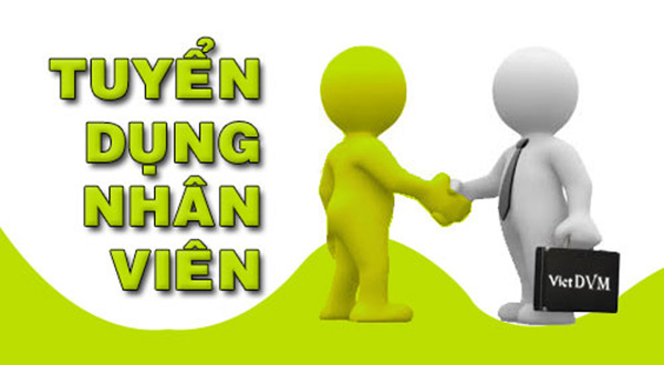 tuyen dung 13